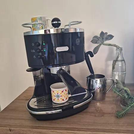 Domus 0143 Bed & Breakfast