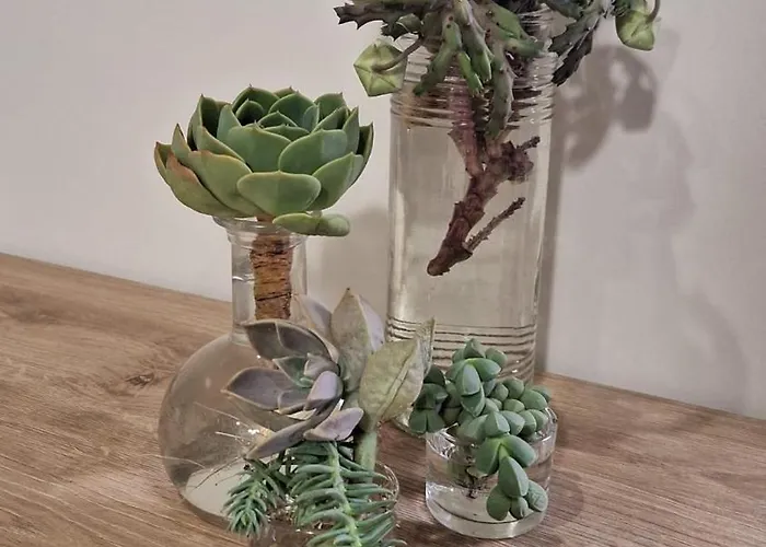 Domus 0143 San Giorgio Ionico