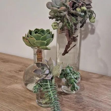 Domus 0143 San Giorgio Ionico